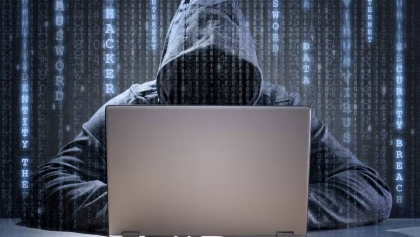 张家口小程序定制开发：.NET的利刃与暗礁